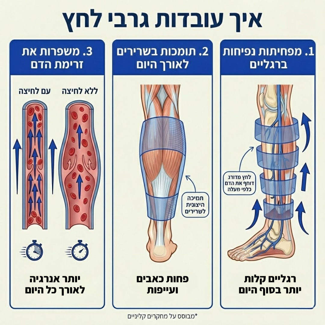 תרשים לחץ מדורג 20-30 mmHg, מהקרסול אל השוק