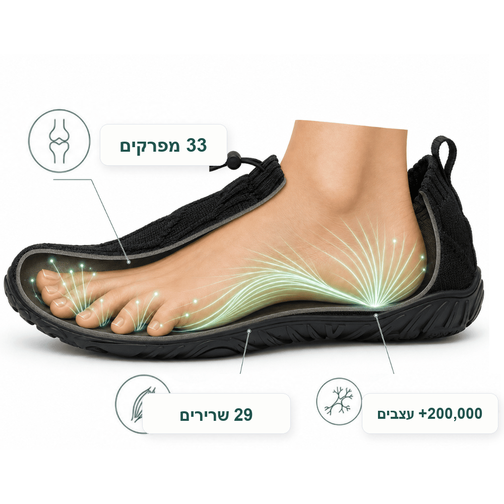 Free-Walk עם תחושת תנועה טבעית יותר